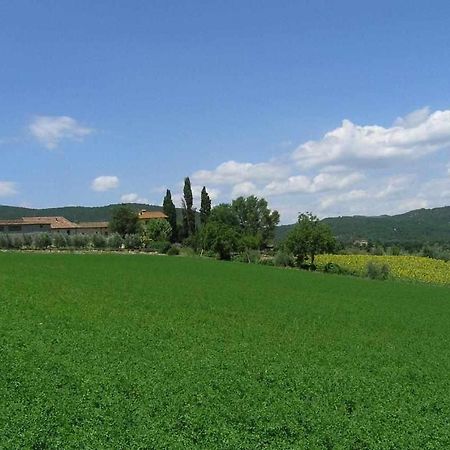 Appartamenti Con Cucina Nelle Colline Toscane Ангиари Екстериор снимка