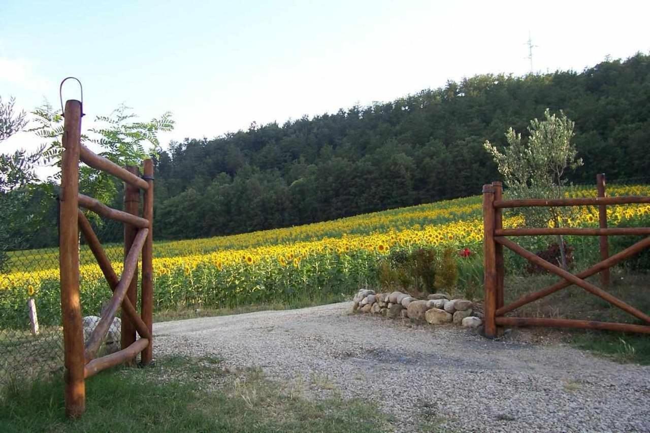 Appartamenti Con Cucina Nelle Colline Toscane Ангиари Екстериор снимка