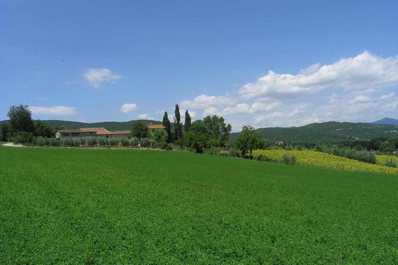 Appartamenti Con Cucina Nelle Colline Toscane Ангиари Екстериор снимка