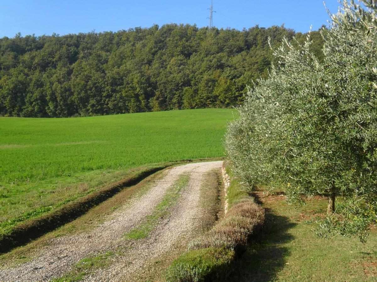 Appartamenti Con Cucina Nelle Colline Toscane Ангиари Екстериор снимка