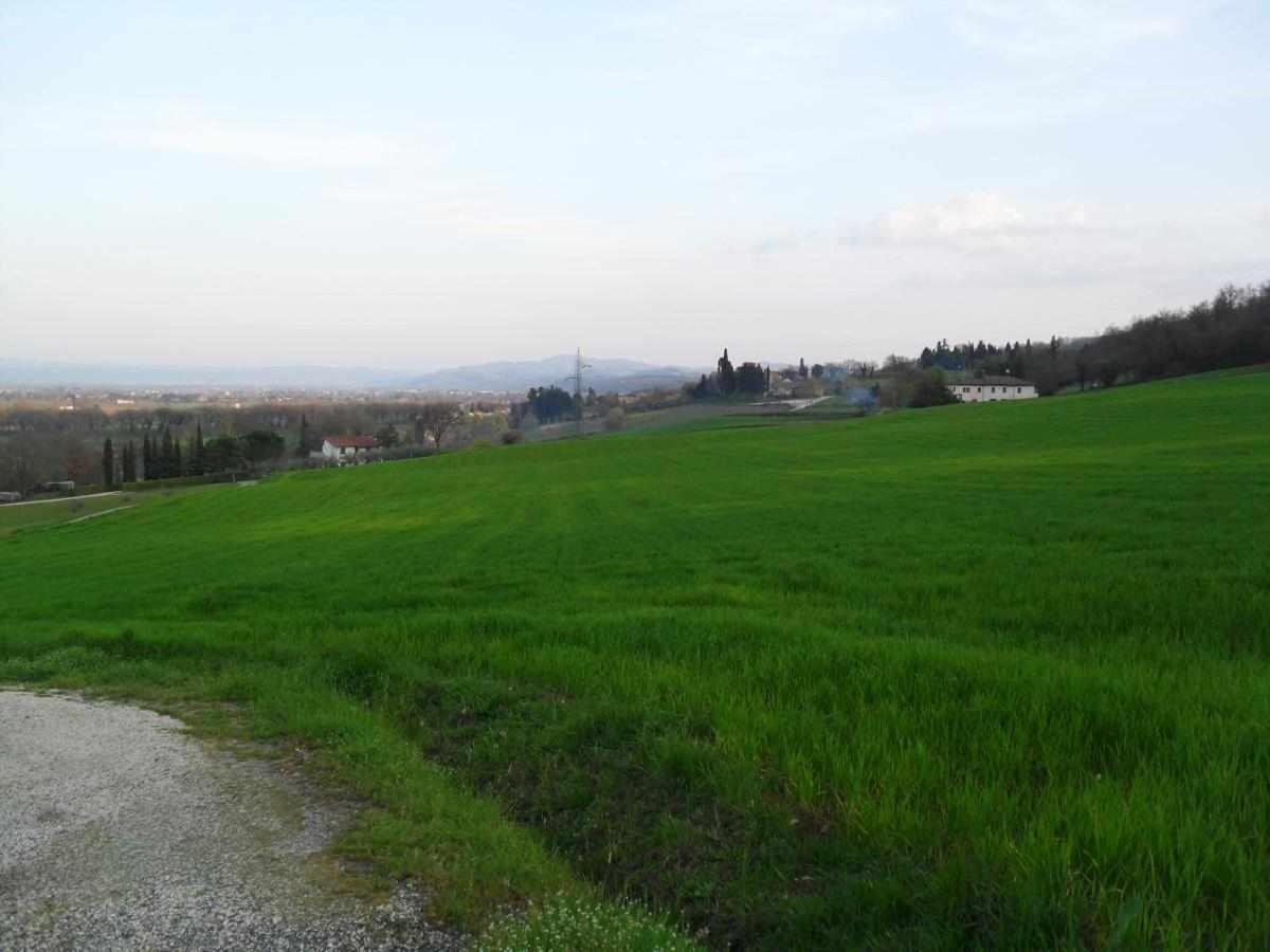 Appartamenti Con Cucina Nelle Colline Toscane Ангиари Екстериор снимка