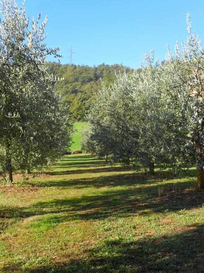 Appartamenti Con Cucina Nelle Colline Toscane Ангиари Екстериор снимка